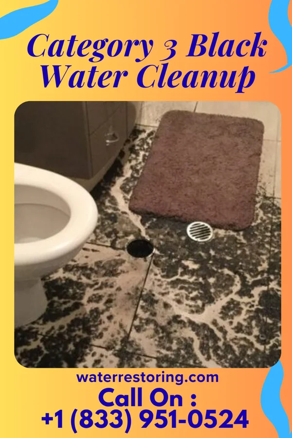 Category 3 Black Water Cleanup in Bancroft, NE