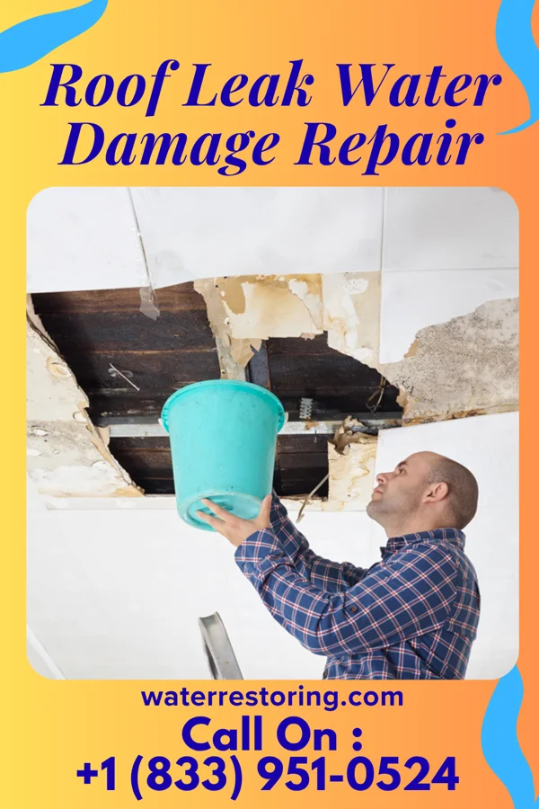 Roof Leak Water Damage Repair in Bancroft, NE